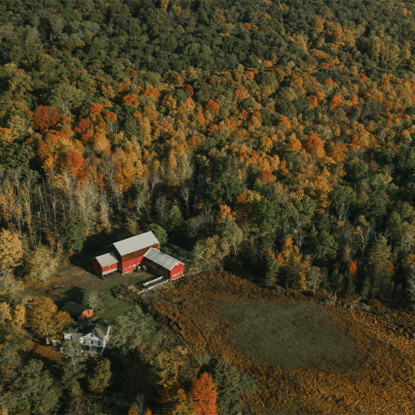 Rural America