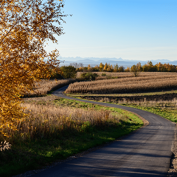 Rural