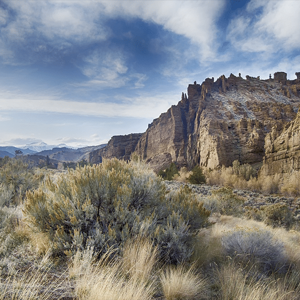 Visionary Broadband Bolsters Colorado Footprint with Aristata Acquisition