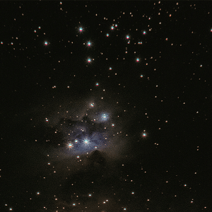 Stars