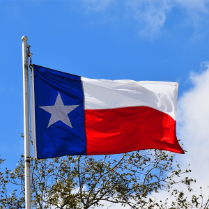Texas State Flag