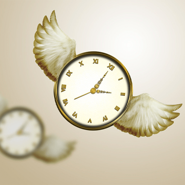 Time Flies