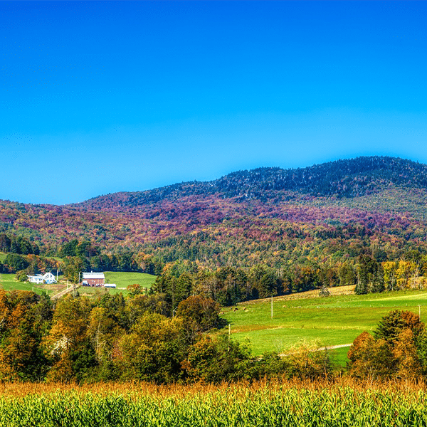 Vermont