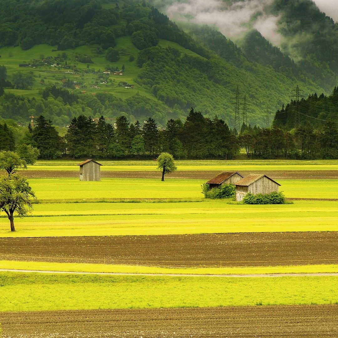 Broadband in rural areas