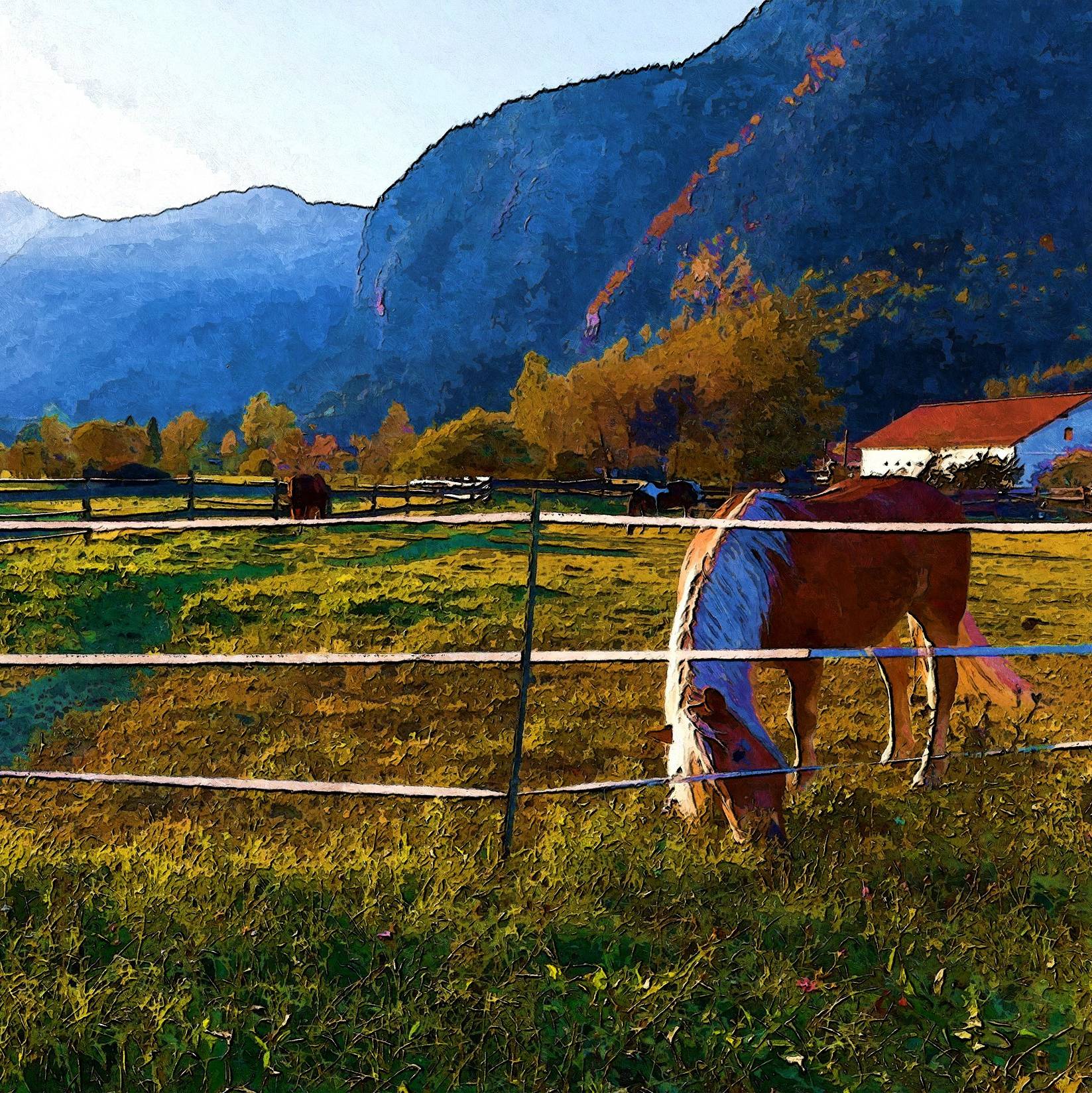 horse farm
