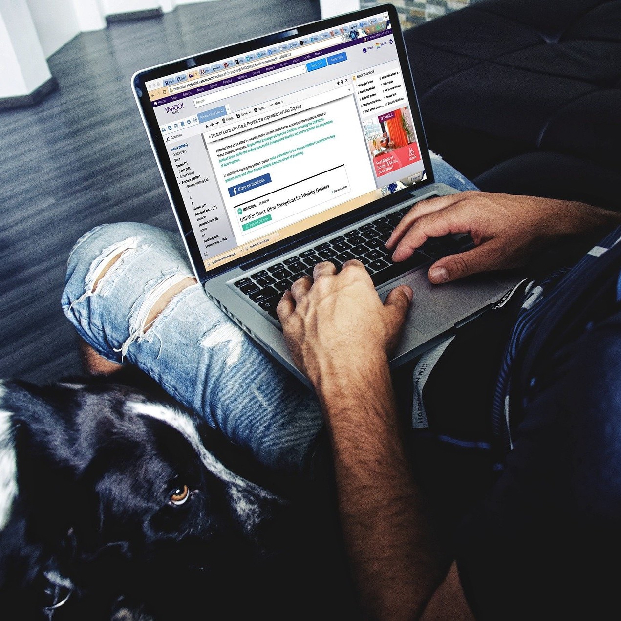 man on internet with dog
