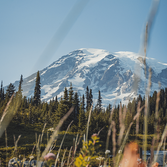Mount Rainier
