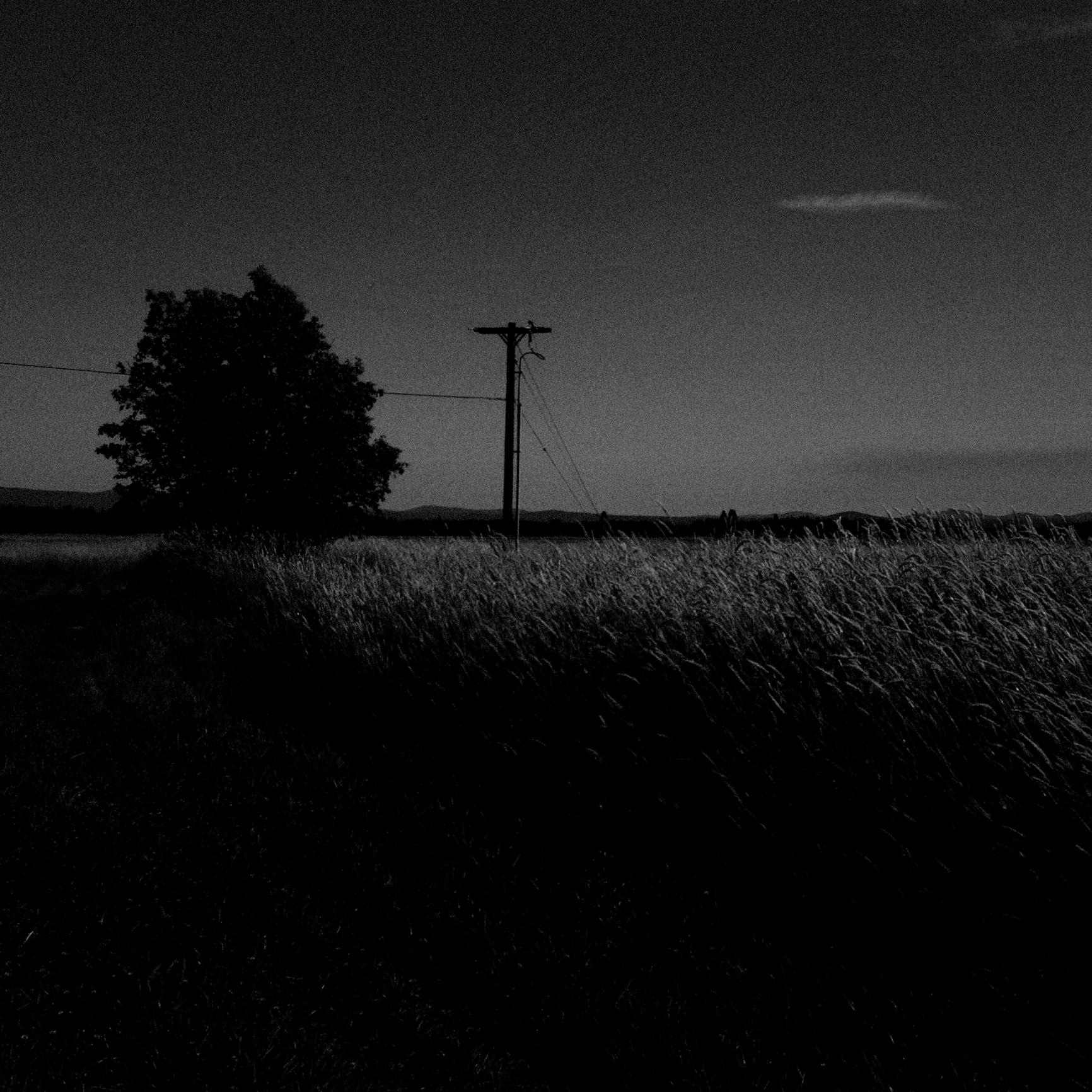 rural telephone pole