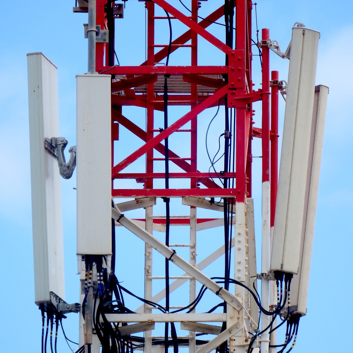 C-Band Auction Update: Most License Areas See Strong Demand